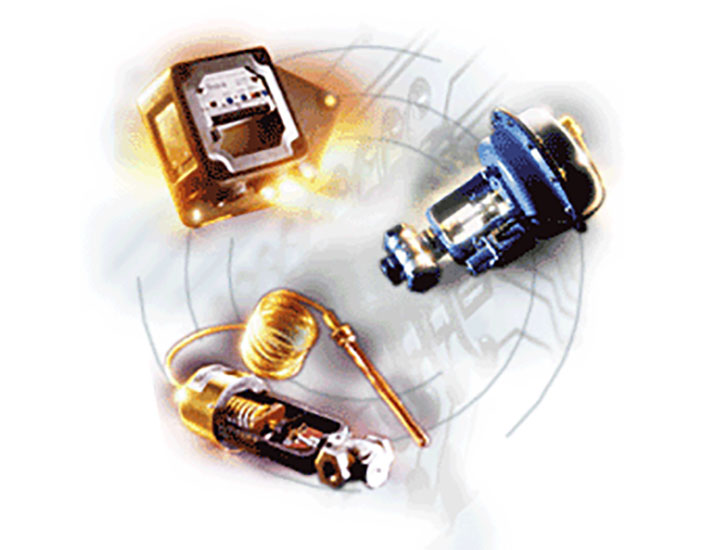 schneider electric robertshaw product group